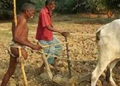 Handicapped farmer walks, courtesy social media and UP govt